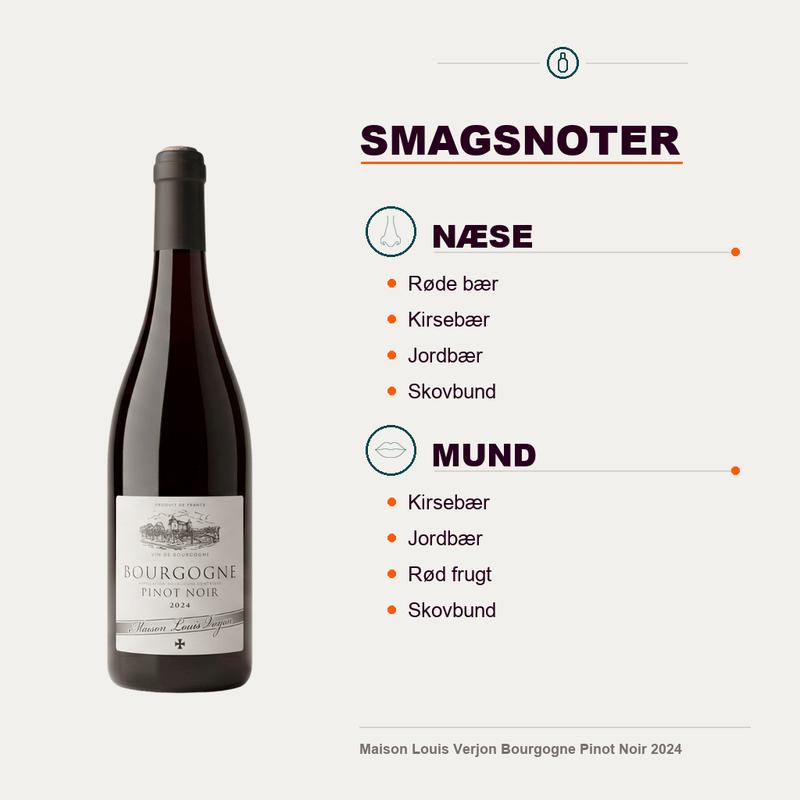 Maison Louis Verjon Rødvin Maison Louis Verjon Bourgogne Pinot Noir 2024