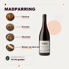 Maison Louis Verjon Rødvin Maison Louis Verjon Bourgogne Pinot Noir 2024