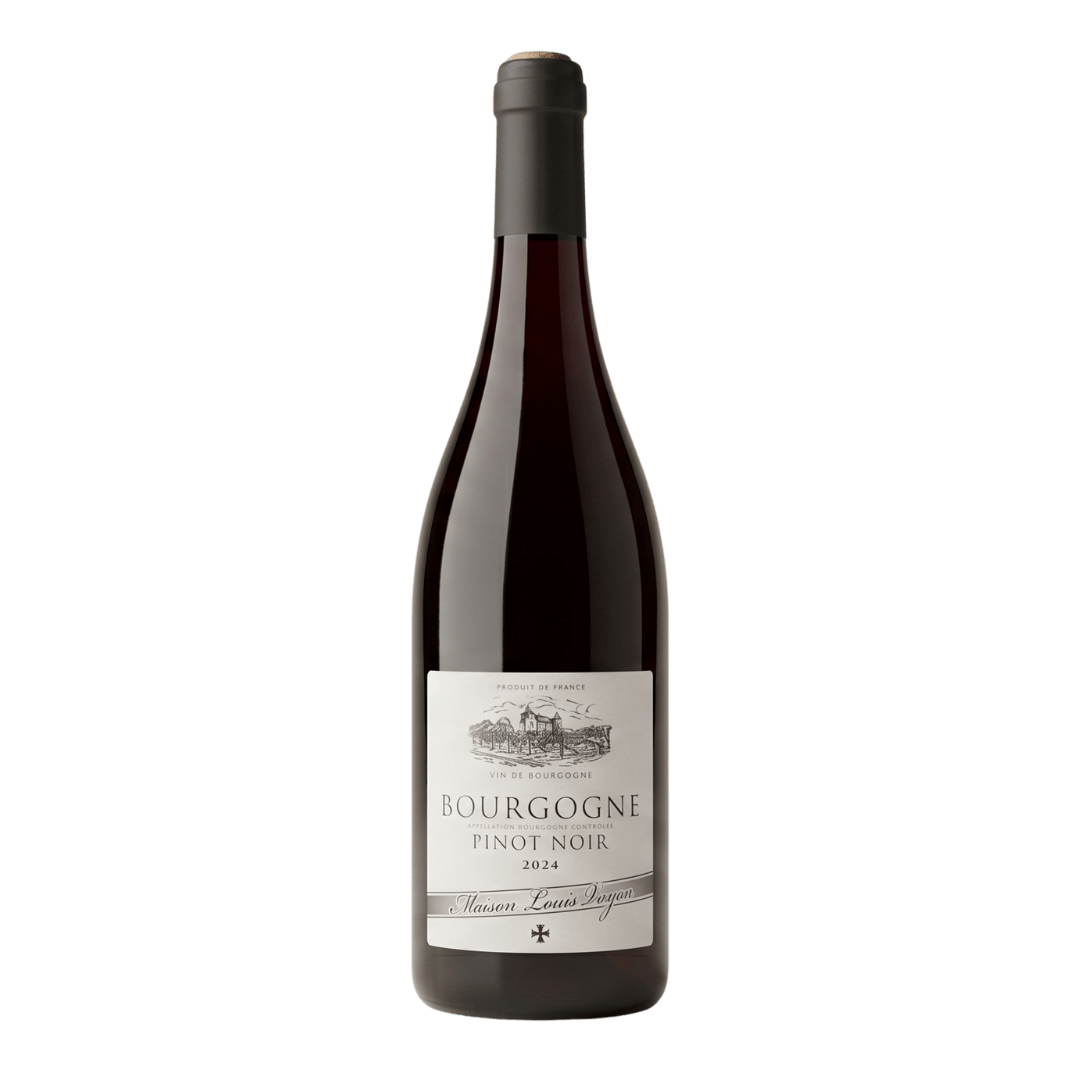 Maison Louis Verjon Rødvin Maison Louis Verjon Bourgogne Pinot Noir 2024