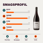 Maison Louis Verjon Rødvin Maison Louis Verjon Bourgogne Pinot Noir 2024