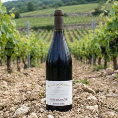 Marcel de Normont Rødvin Marcel de Normont Bourgogne Pinot Noir 2023