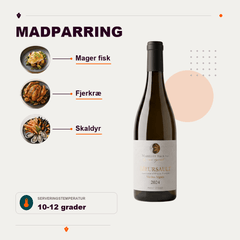 SARL De Rochebin Hvidvin Marillier Meursault 2024