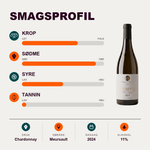 SARL De Rochebin Hvidvin Marillier Meursault 2024