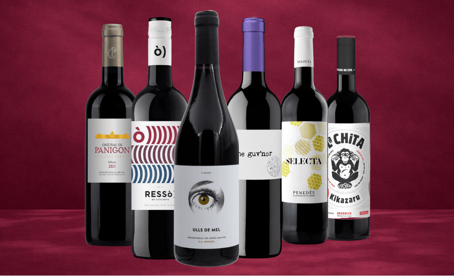 Den Sidste Flaske Rødvins Smagekasse Nyhedskassen