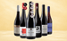 Den Sidste Flaske Rødvins Smagekasse Pinot Noir Favoritter