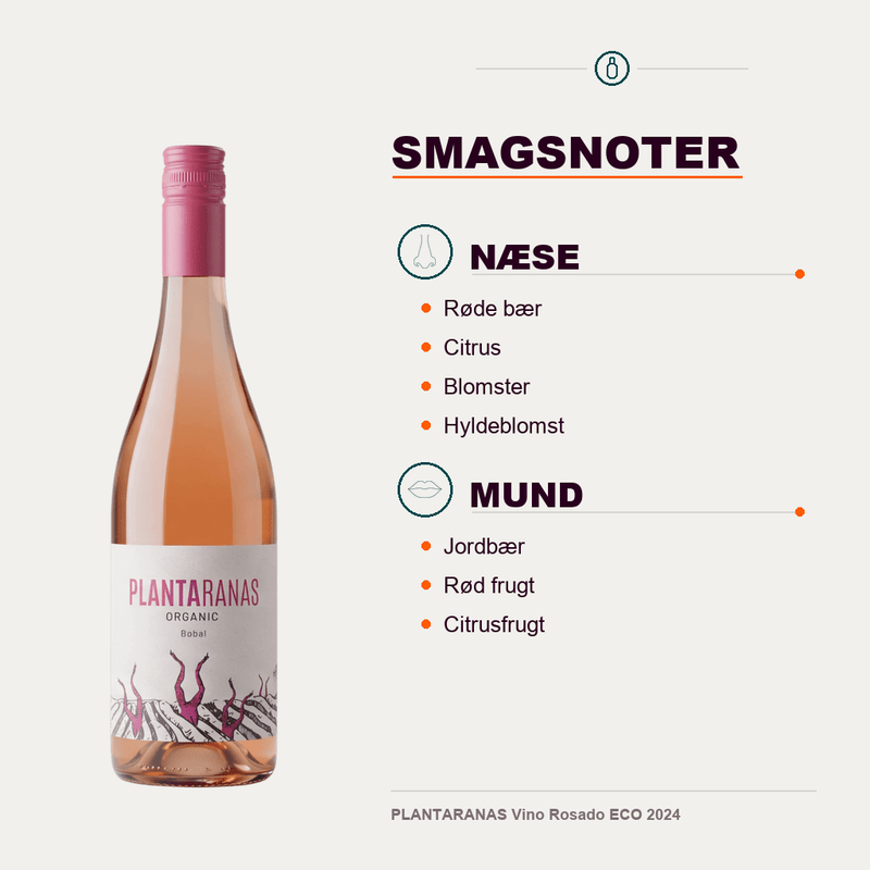 Josep Masachs Rosé PLANTARANAS Vino Rosado ECO 2024