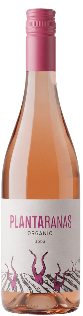 Josep Masachs Rosé PLANTARANAS Vino Rosado ECO 2024