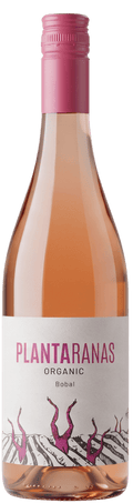 Josep Masachs Rosé PLANTARANAS Vino Rosado ECO 2024