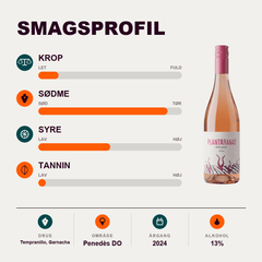 Josep Masachs Rosé PLANTARANAS Vino Rosado ECO 2024