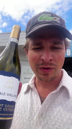 Delle Venezie Pinot Grigio Casale Dallavia 2025