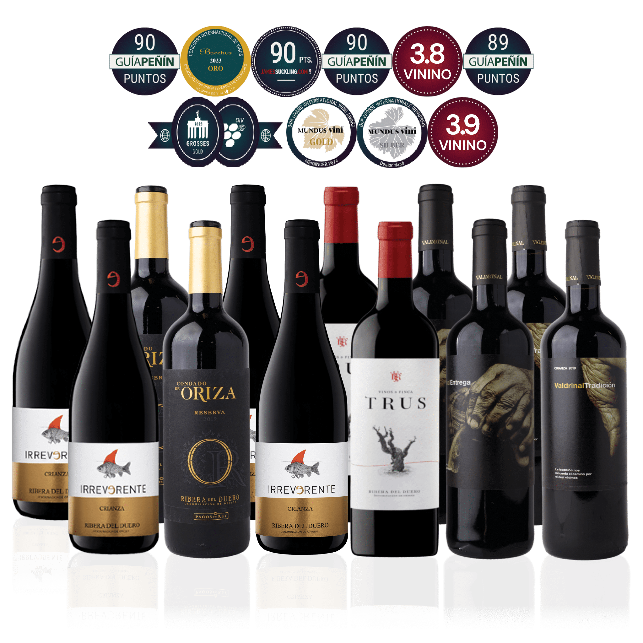 Den Sidste Flaske Rødvins Smagekasse Ribera del Duero Kassen (12 fl.)