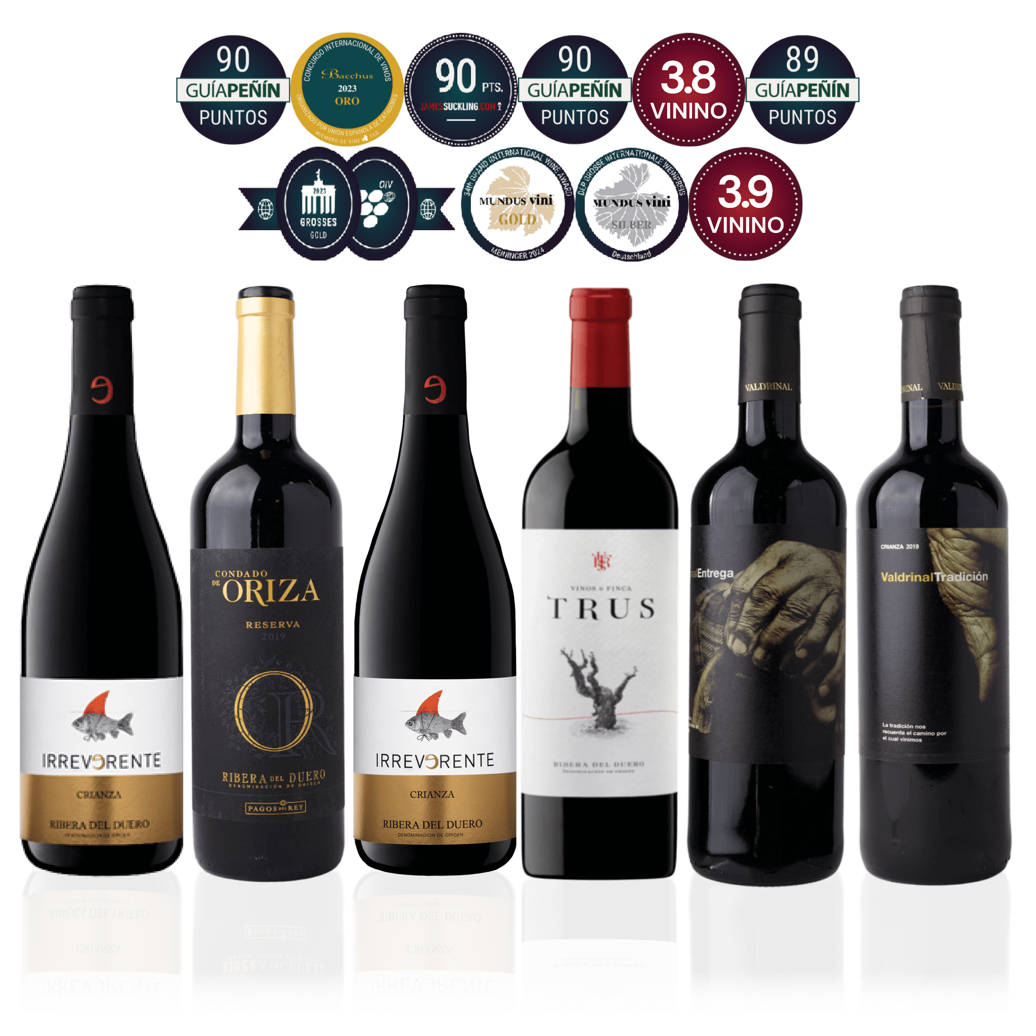 Den Sidste Flaske Rødvins Smagekasse Ribera del Duero Kassen (6 fl.)