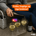 Den Sidste Flaske Hvidvins Smagekasse Riesling kassen (6 fl.)