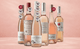 Den Sidste Flaske Rosé Smagekasse Rosé Bestseller