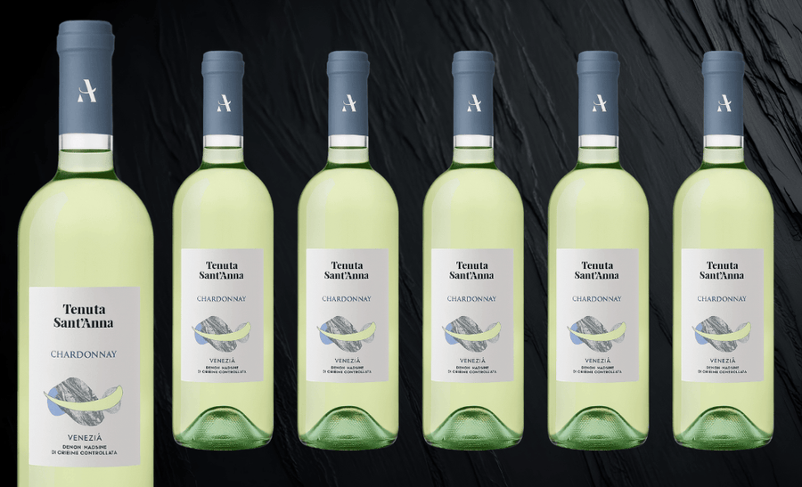 Den Sidste Flaske Hvidvins Smagekasse Sant Anna Chardonnay Venezia Magnum 2022