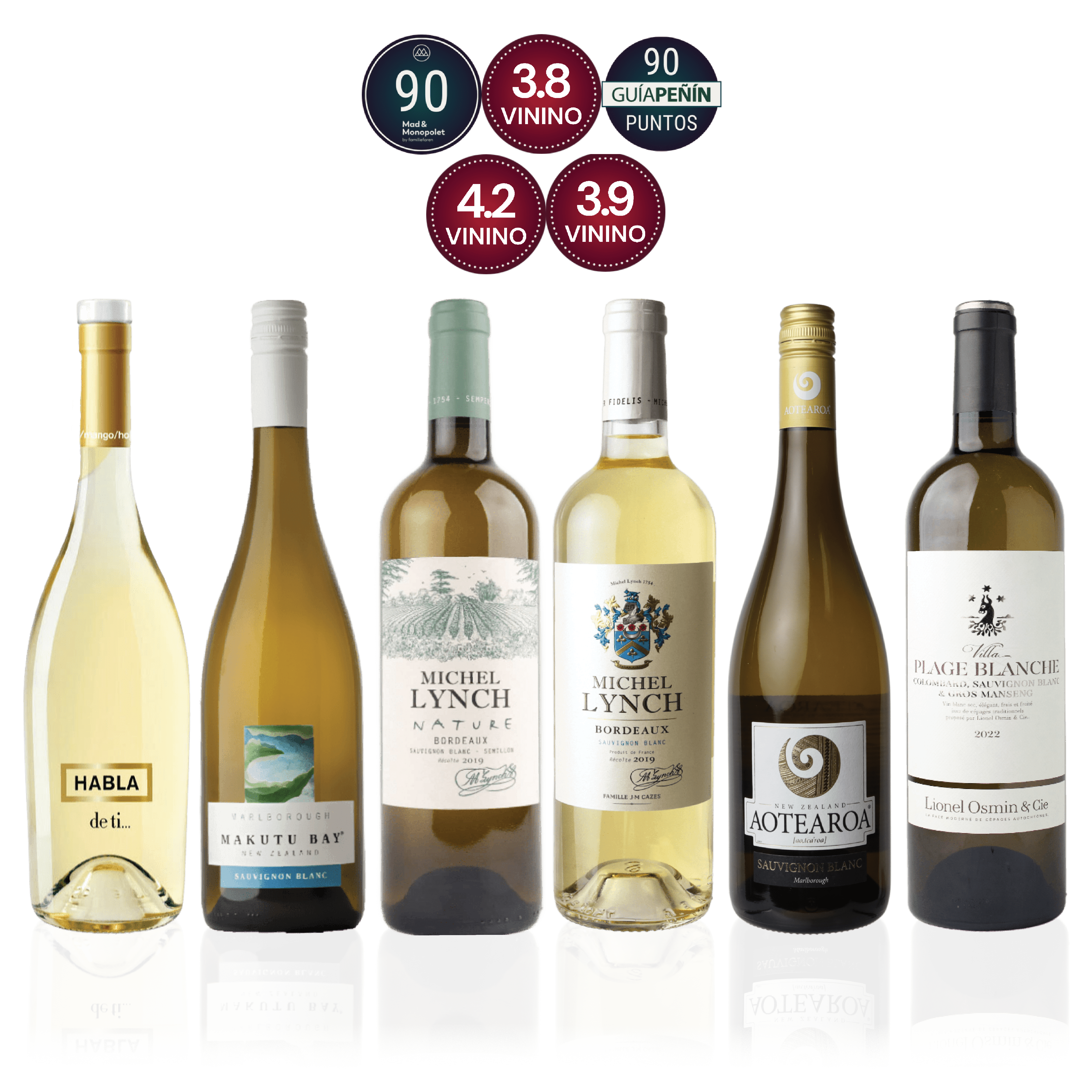 Den Sidste Flaske Hvidvins Smagekasse Sauvignon Blanc Kassen (6 fl.)