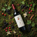 Seigneur de Paludate Rødvin Seigneur de Paludate Margaux Rouge 2023