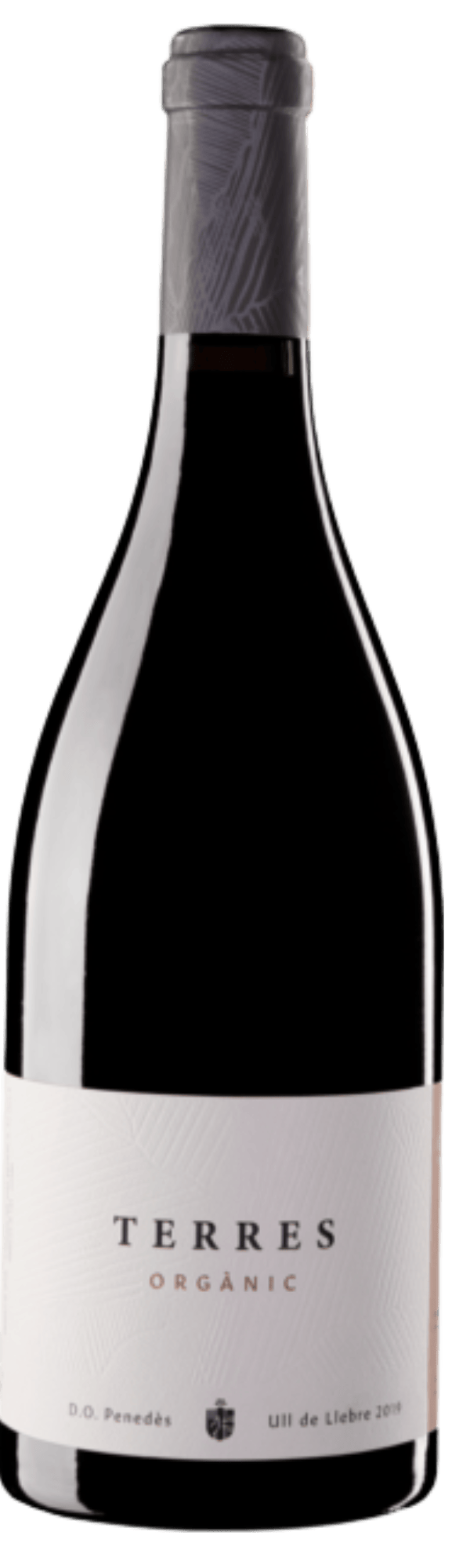 Josep Masachs Rødvin Terres Tinto 2021