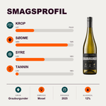 Weingut Tom Benz Hvidvin Tom Benz Benz + Friends Grauburgunder trocken 2025
