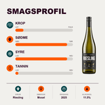 Weingut Tom Benz Hvidvin Tom Benz Benz + Friends Riesling trocken 2025