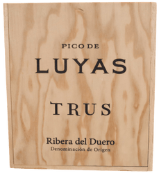 Palacios Vinos De Finca Trus Rødvin Trus Pico De Luyas 2019 thumbnail