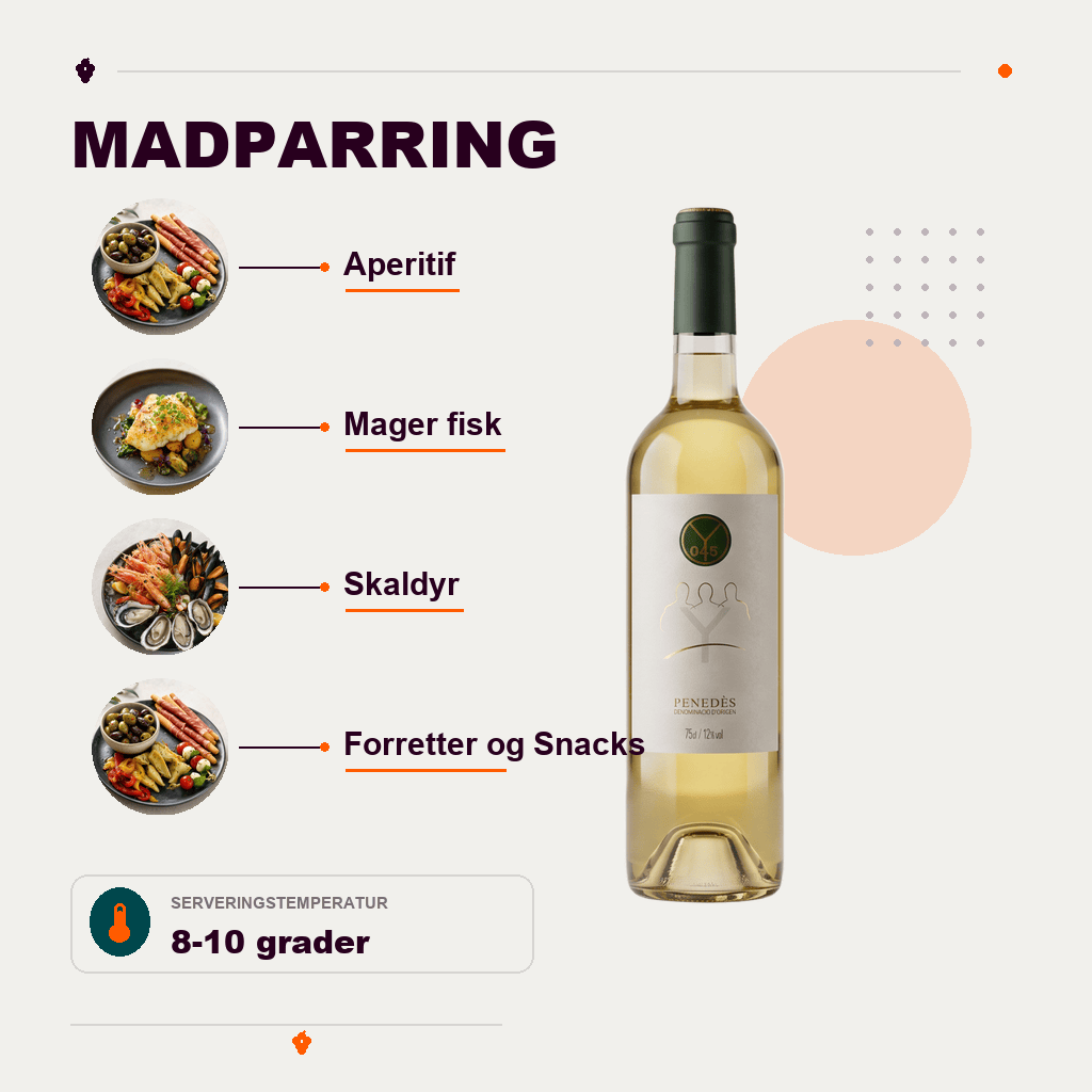 Josep Masachs Hvidvin Vino Blanco Penedès 2022