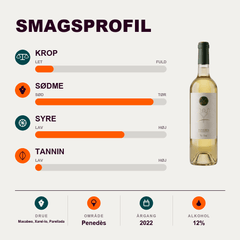 Josep Masachs Hvidvin Vino Blanco Penedès 2022