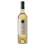Josep Masachs Hvidvin Vino Blanco Penedès 2022