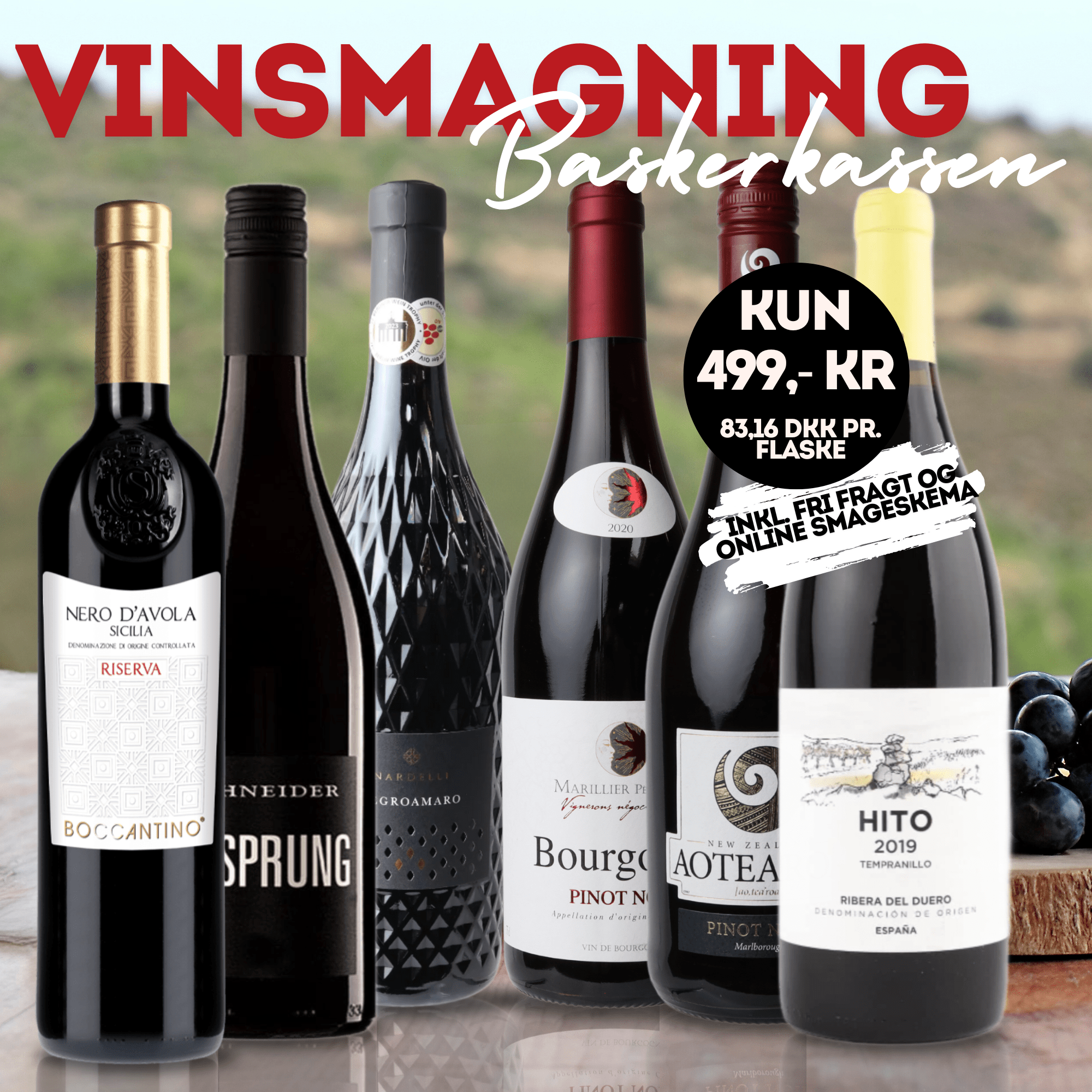 Den Sidste Flaske Rødvins Smagekasse Vinsmagning - Baskerkassen