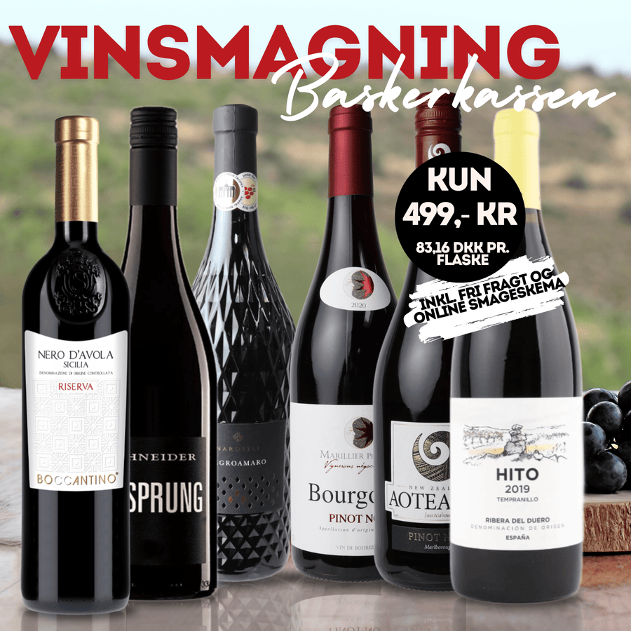 Den Sidste Flaske Rødvins Smagekasse Vinsmagning - Baskerkassen