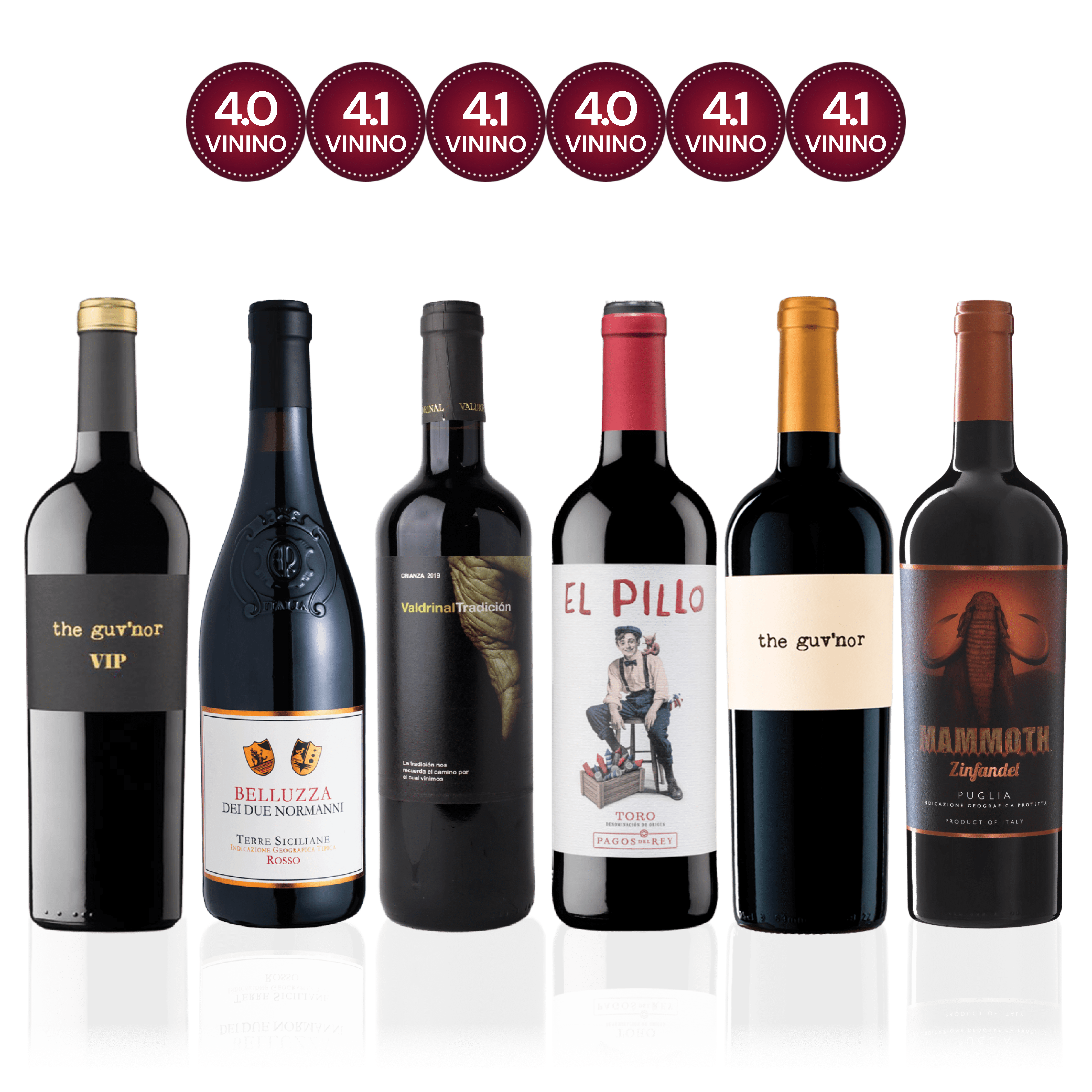 Den Sidste Flaske Rødvins Smagekasse Vivino Top Rated Rødvine (6 fl.)