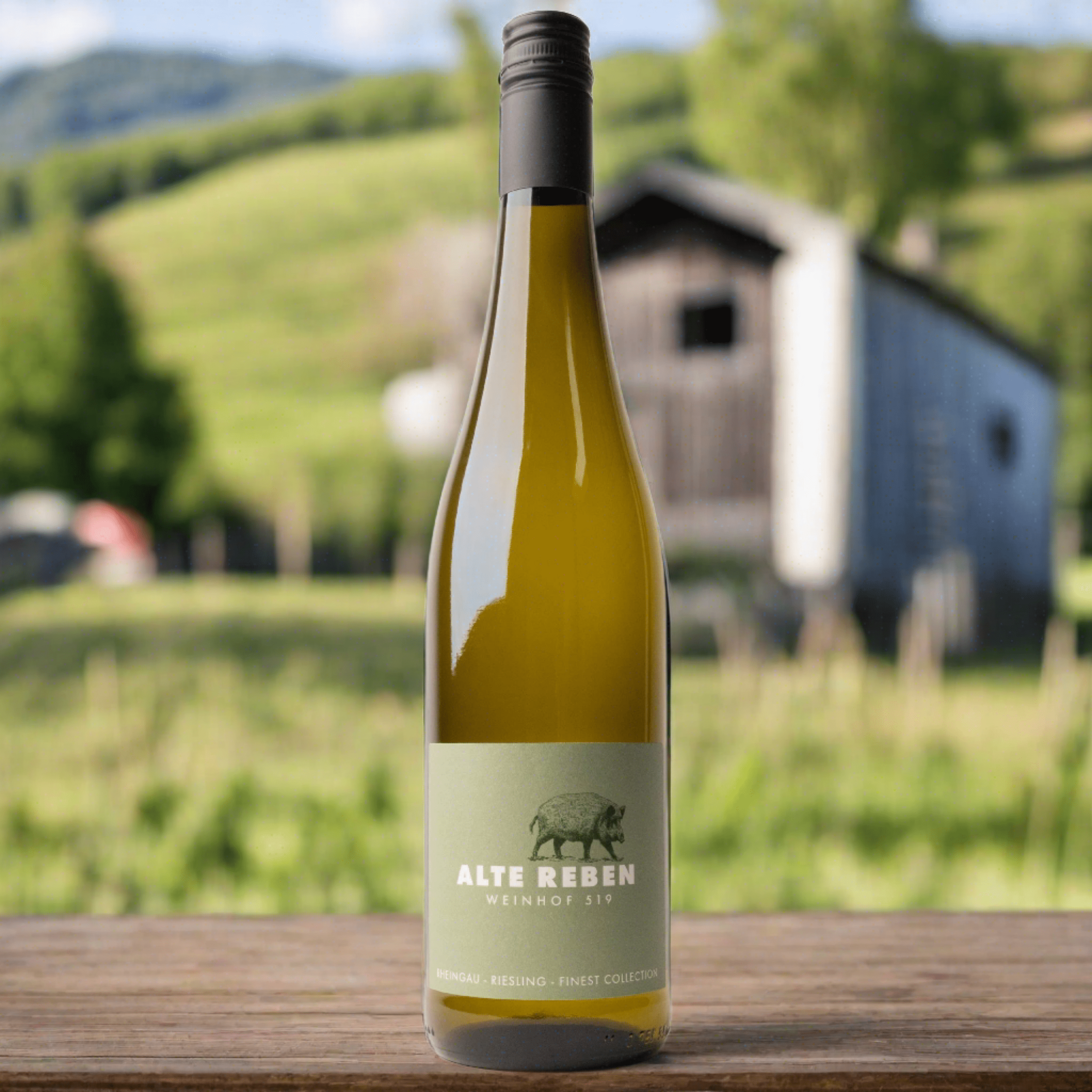 Weinhof 519 Hvidvin Weinhof 519 Alte Reben Finest Collection Riesling Trocken 2022