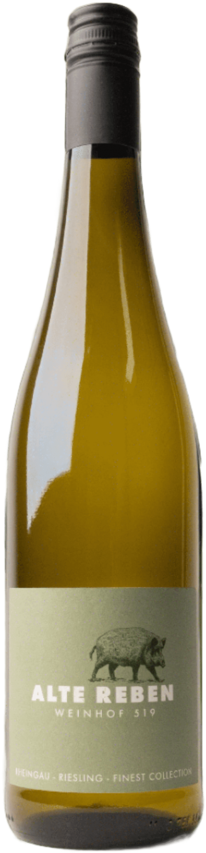 Weinhof 519 Hvidvin Weinhof 519 Alte Reben Finest Collection Riesling Trocken 2022