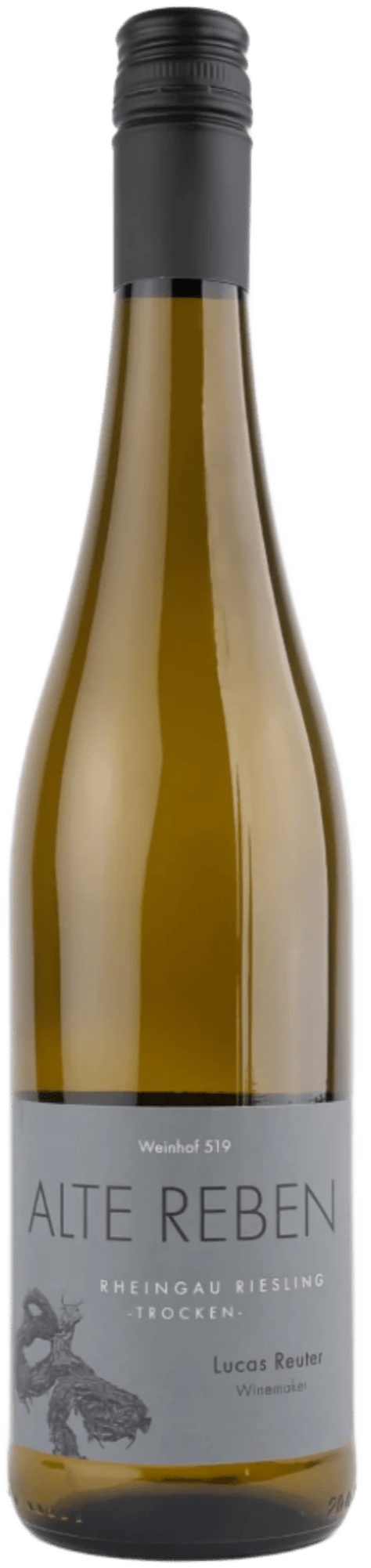 Weinhof 519 Hvidvin Weinhof 519 Alte Reben Riesling Trocken Rheingau 2023