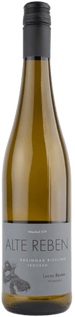 Weinhof 519 Hvidvin Weinhof 519 Alte Reben Riesling Trocken Rheingau 2023
